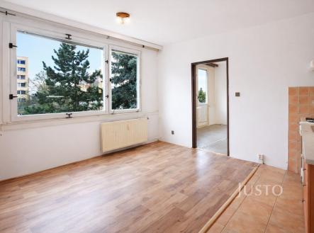 Prodej bytu, 1+1, 38 m²