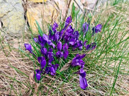 Prodej domu/vily, 110 m²