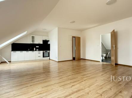 Pronájem bytu, 1+kk, 50 m²