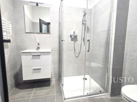 Pronájem bytu, 1+1, 40 m²