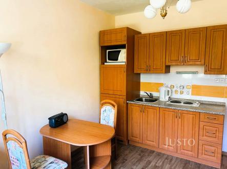 Pronájem bytu, 1+kk, 21 m²