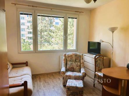 Pronájem bytu, 1+kk, 21 m²
