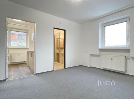 Pronájem bytu, 3+1, 66 m²