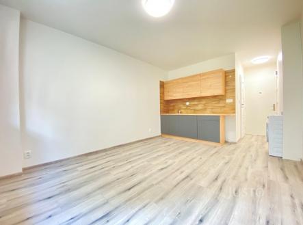 Pronájem bytu, 1+kk, 21 m²