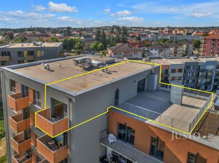Pronájem bytu, 3+kk, 166 m² obrázek