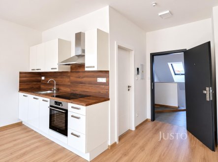 Pronájem 1+kk 30 m², Písek Žižkova třída