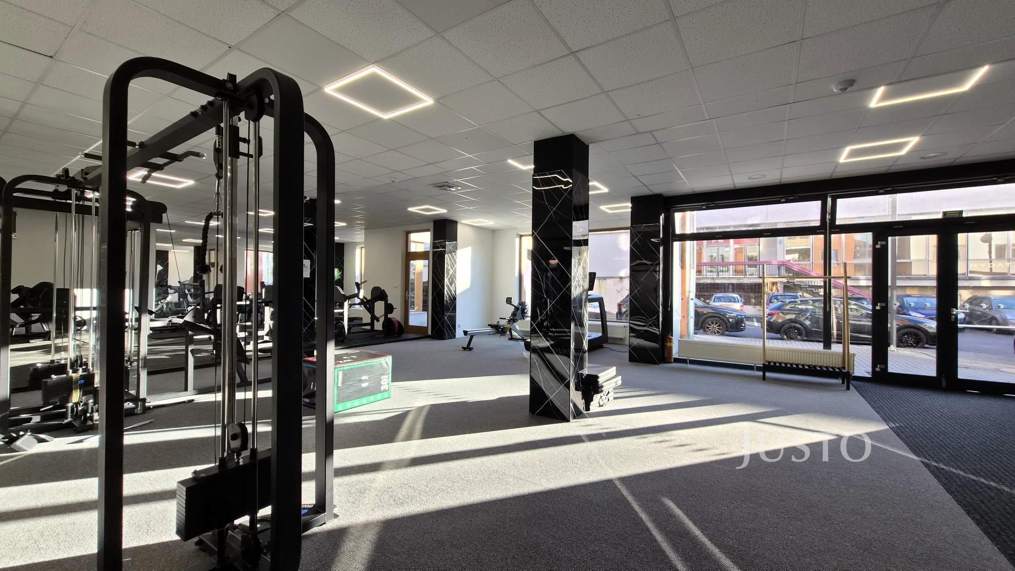 Prodej obchodních prostor 229 m², Písek - V Portyči