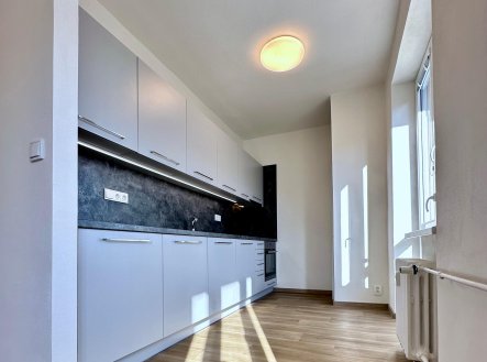 Pronájem 2+1 56 m² + balkón 1,6 m²
