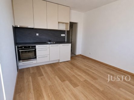 Pronájem bytu, 1+kk, 20 m²