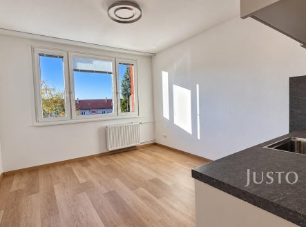 Pronájem bytu, 1+kk, 20 m²