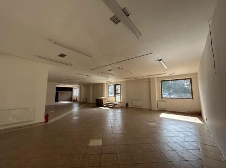 Pronájem obchodní prostor, 263 m²