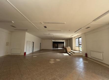 Pronájem obchodní prostor, 263 m²