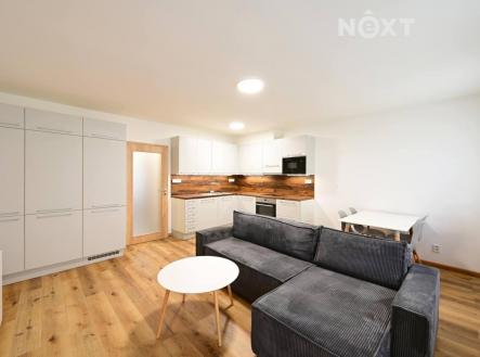 Prodej bytu, 2+kk, 46 m²