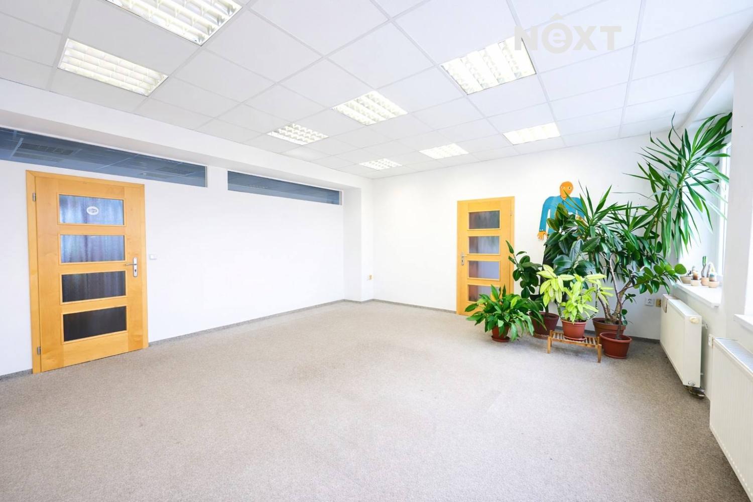 Pronájem komerční Kanceláře, 30㎡