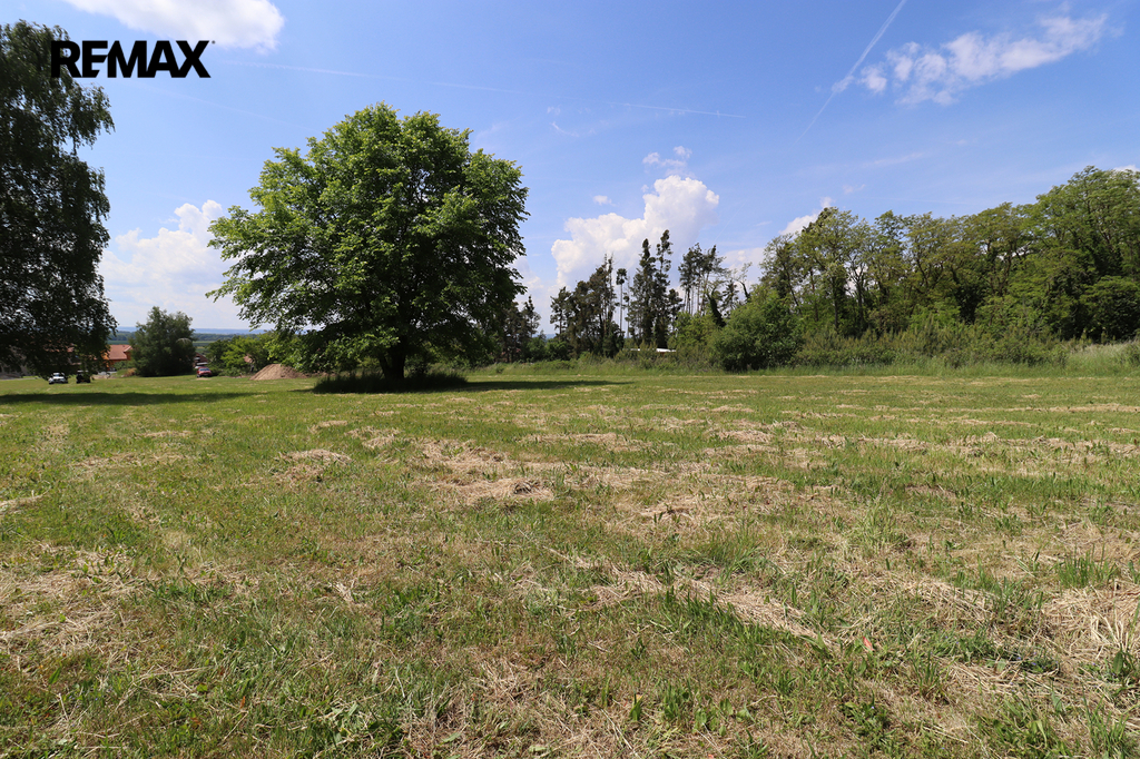 Pohled na pozemek