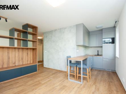 Pronájem bytu, 1+kk, 45 m²