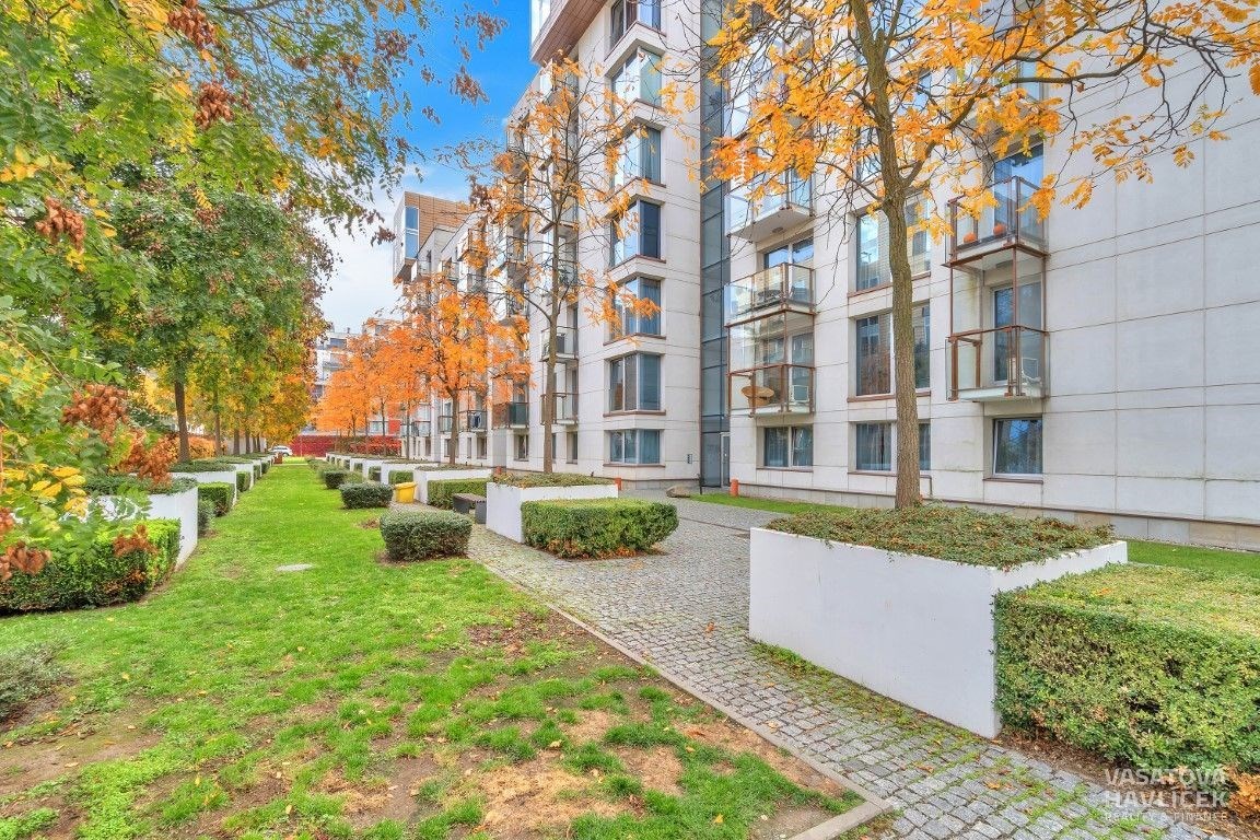 Fotku se nepodařilo načíst.