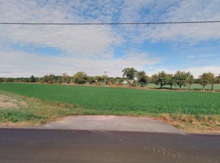 Prodej pozemku, zemědělská půda, 8 295 m²