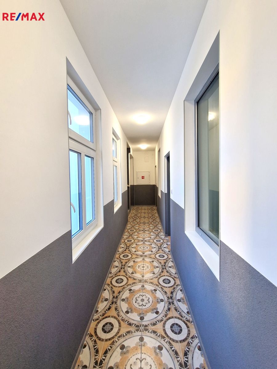 Fotku se nepodařilo načíst.