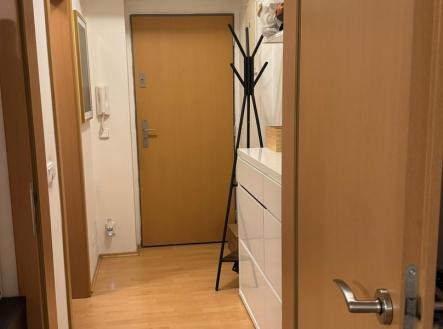 Pronájem bytu, 1+kk, 30 m²