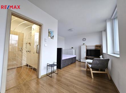 Pronájem bytu, 1+kk, 36 m²