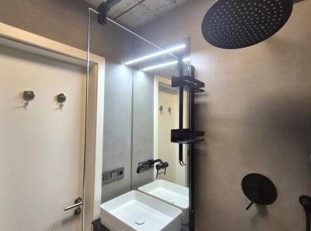 Pronájem bytu, 2+kk, 77 m²