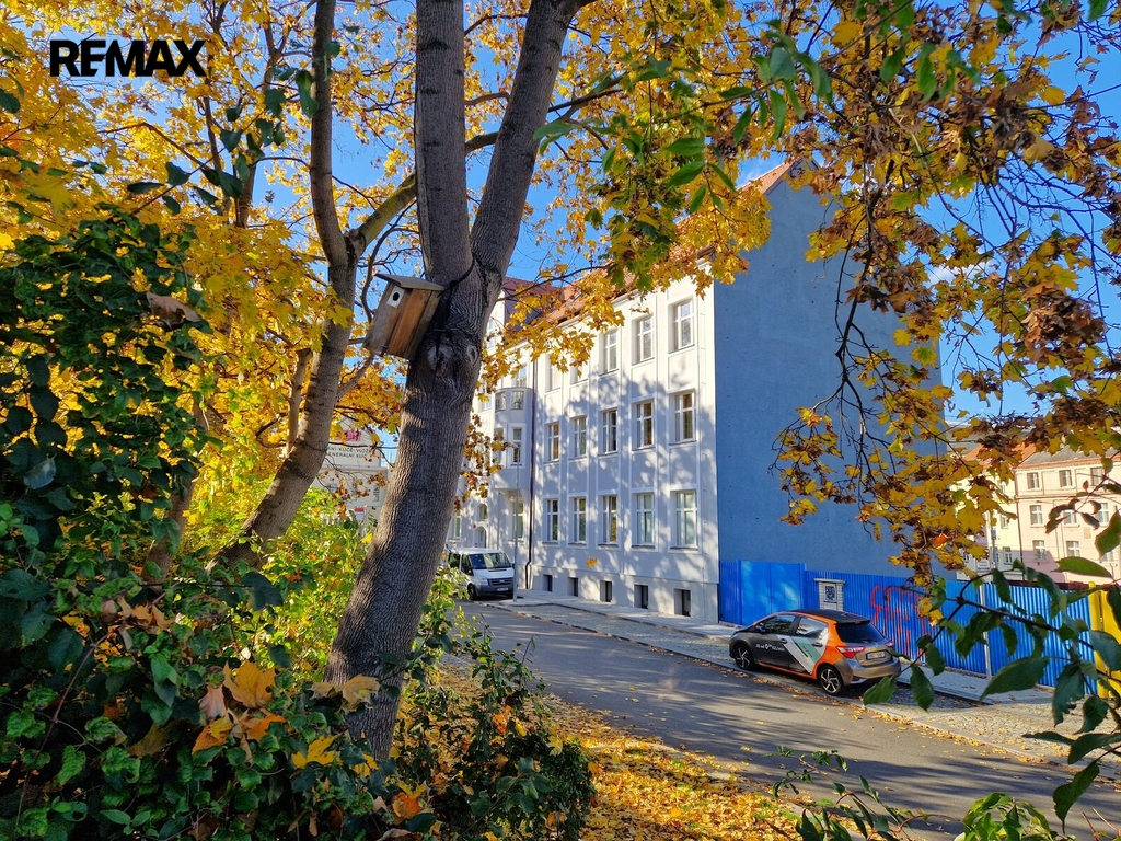 Fotku se nepodařilo načíst.