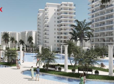 Orchid Casel de Paradise.