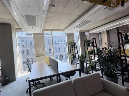 Pronájem kanceláře, 35 m²