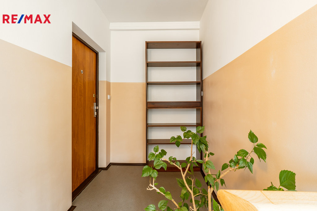 Fotku se nepodařilo načíst.