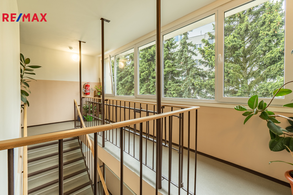 Fotku se nepodařilo načíst.