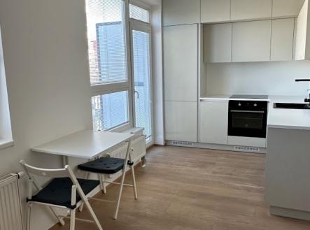 Pronájem bytu, 1+kk, 42 m²