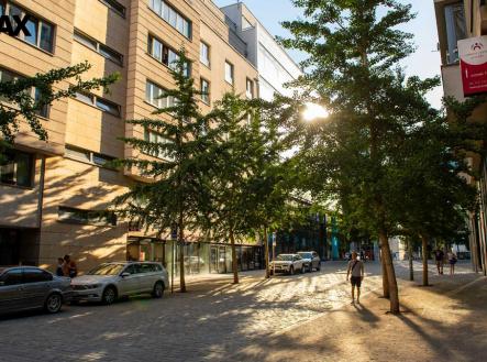 Pronájem bytu, 3+kk, 115 m²