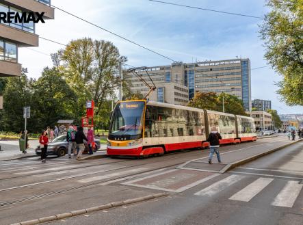 Pronájem bytu, 3+kk, 196 m²