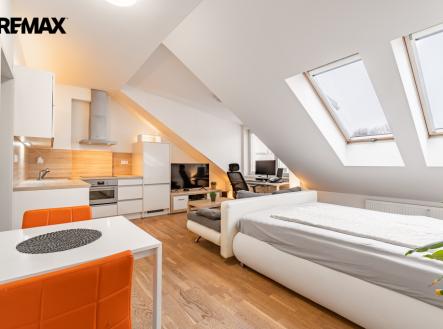 Pronájem bytu, 1+kk, 44 m²