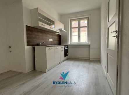 Pronájem bytu, 1+1, 45 m²