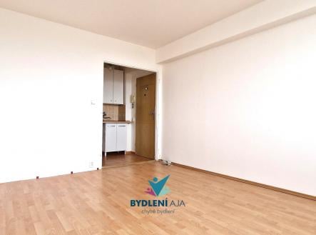 Prodej bytu, 1+kk, 22 m²