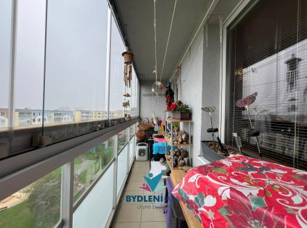 IMG-20241012-WA0138