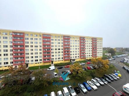 IMG-20241012-WA0131