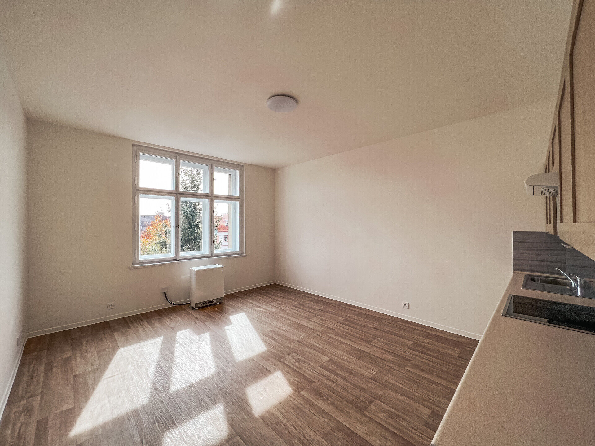 Fotku se nepodařilo načíst.