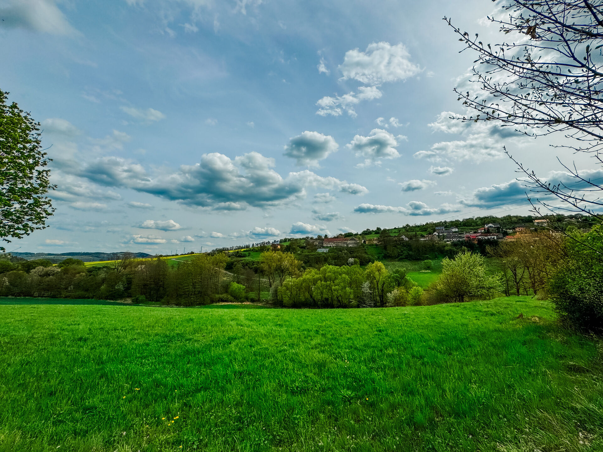 Prodej unikátního pozemku, 832 m², Trubská, U dibřího potoka, Beroun