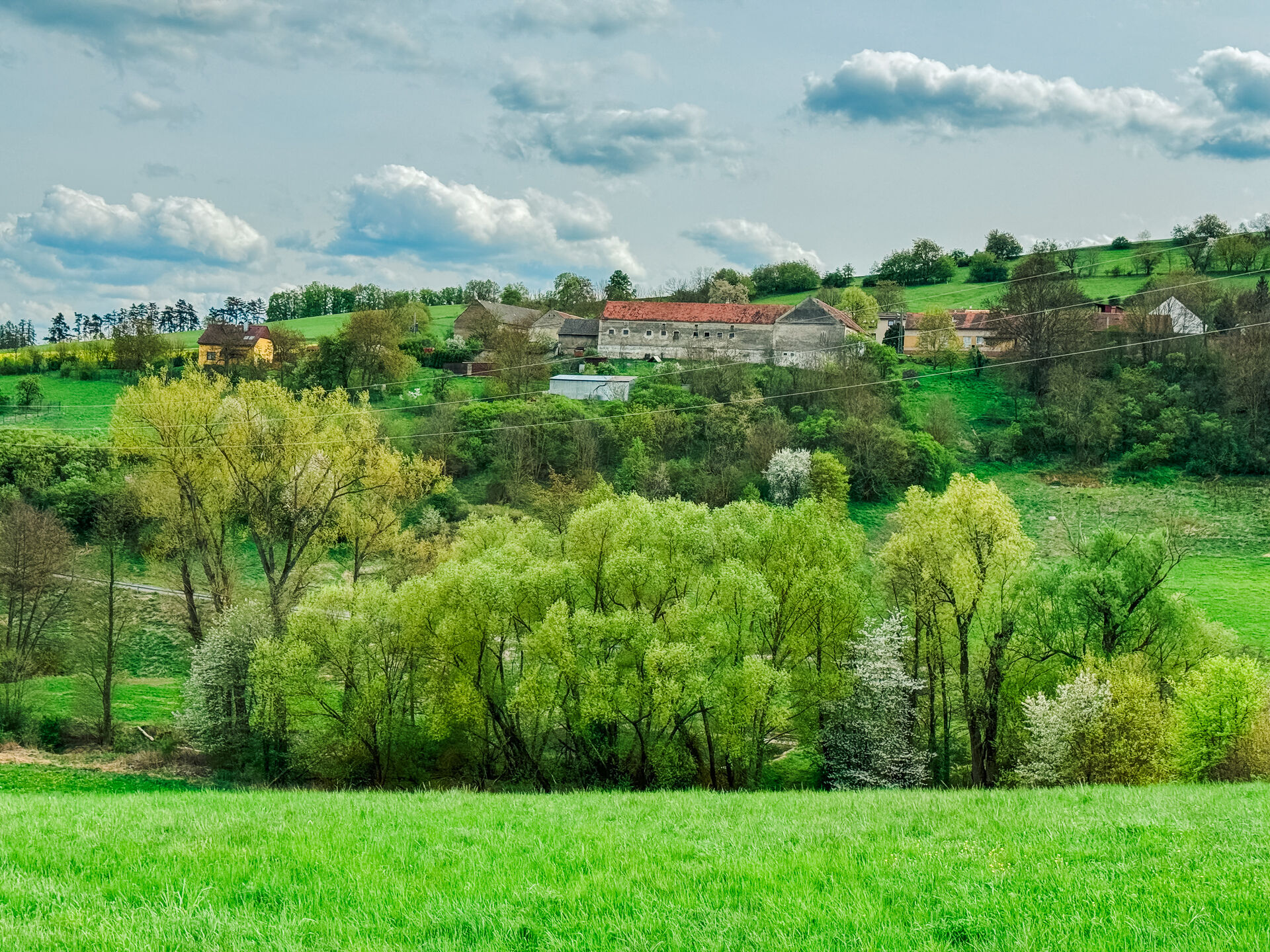 Prodej jedinečného pozemku, 959 m², Trubská, U dibřího potoka, Beroun