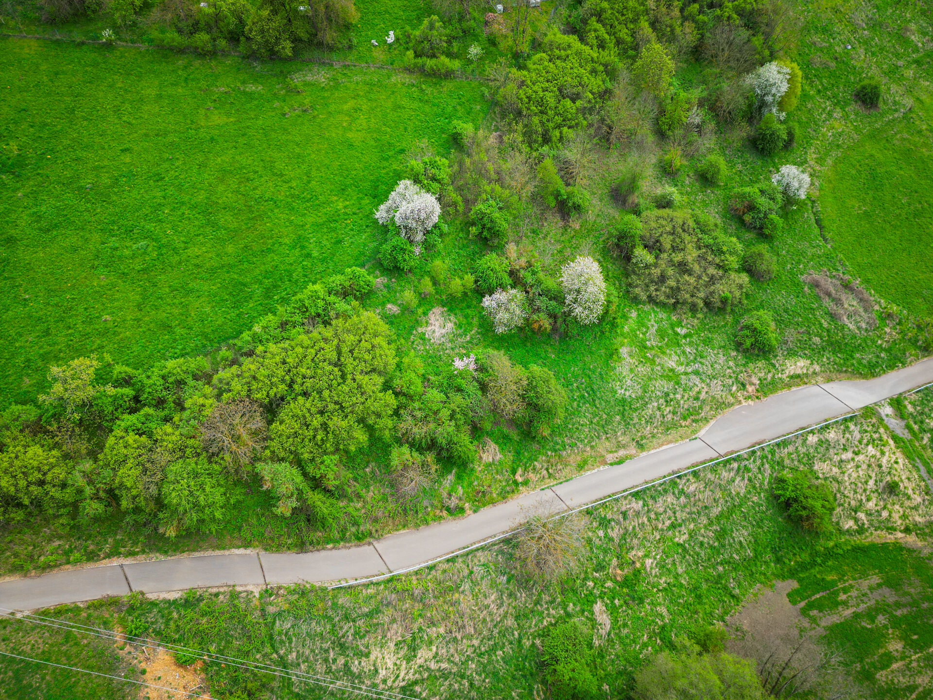 Prodej jedinečného pozemku, 959 m², Trubská, U dibřího potoka, Beroun