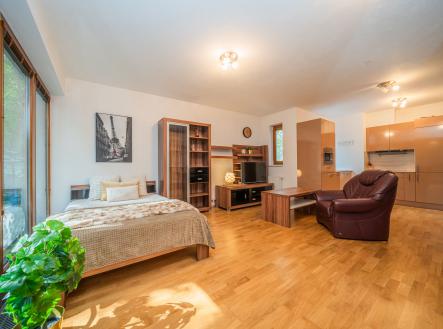 Prodej bytu, 1+kk, 42 m² obrázek