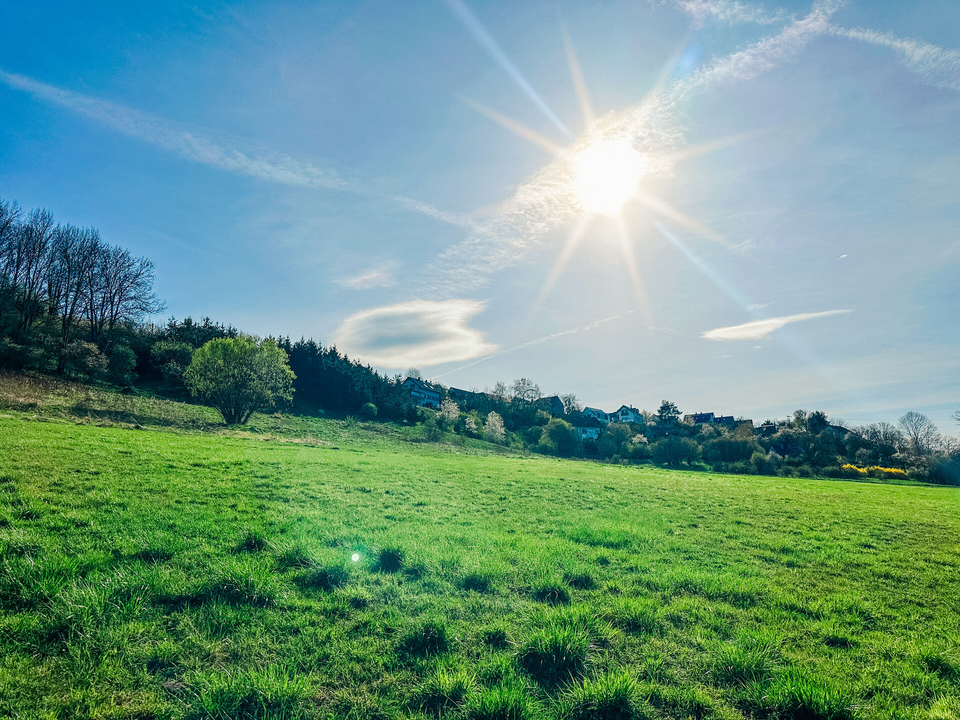 Prodej pozemku, 833 m², Trubská, U dibřího potoka, Beroun