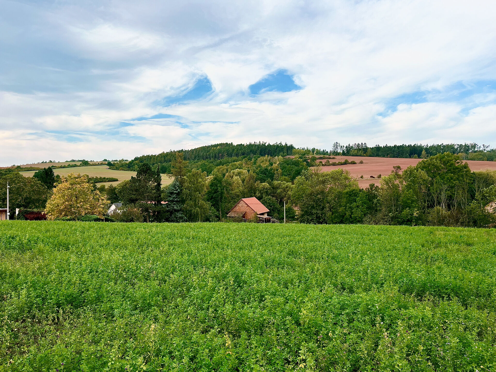 Prodej atraktivního pozemku, 1500 m2, Malá Černoc