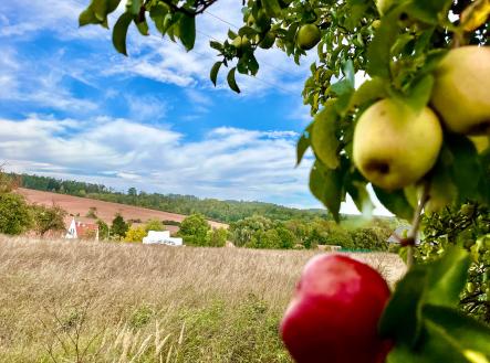 Prodej pozemku pro bydlení, 1 500 m²