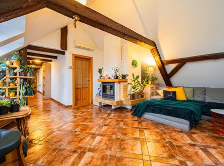 Prodej bytu, atypický, 295 m²