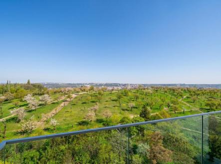 Prodej bytu, 1+kk, 41 m²