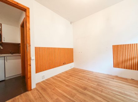 Pronájem bytu, pokoj, 12 m²